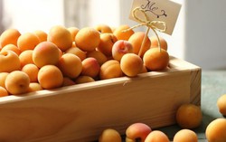 Mơ vào vụ vẫn 'cháy' hàng