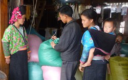 Bỏ chính sách hỗ trợ trực tiếp cho người dân thuộc hộ nghèo vùng khó khăn