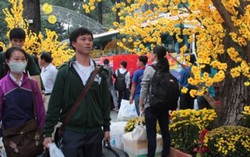 Tặng 5.000 vé xe Tết cho học sinh, công nhân