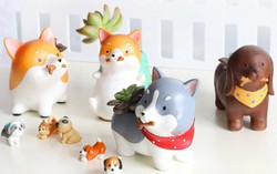 Trang trí nhà đón xuân Mậu Tuất bằng đồ dùng lấy cảm hứng từ chú cún 