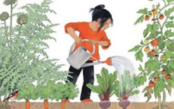 Luống rau của mẹ và vườn hoa của vợ