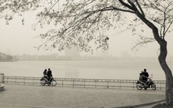 Những mùa Đông yêu dấu