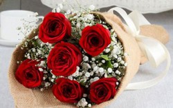 20/10 trổ tài tự bó hoa hồng tặng người thương