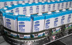 Vinamilk 3 năm liền đứng đầu 40 thương hiệu giá trị nhất Việt Nam