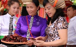 600 tỷ đồng giúp 'trao quyền' cho phụ nữ thông qua phát triển nông nghiệp, du lịch cộng đồng