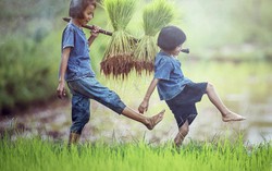 Mênh mang nỗi nhớ rơm rạ thuở nào