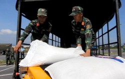 LHQ hỗ trợ miền Trung 4,2 triệu USD khắc phục hậu quả bão Damrey
