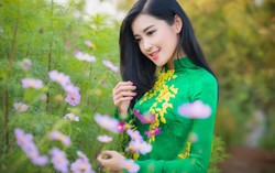 Năm Mậu Tuất chọn màu gì?