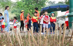 Hà Nội dựng 'chông tre' nguy hiểm ở vườn hoa