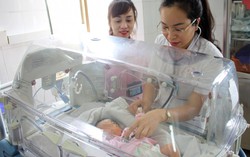 Mẹ trốn khỏi viện sau khi sinh, con vào trung tâm bảo trợ xã hội
