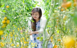 Trải nghiệm tour nhà vườn tại Đà Lạt