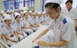 Tuyển 240 ứng viên điều dưỡng, hộ lý lương cao tại Nhật
