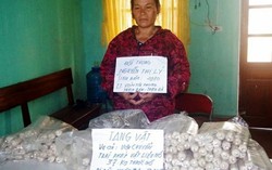 Hà Tĩnh: Bắt đối tượng nữ vận chuyển 186 thỏi thuốc nổ đi tiêu thụ