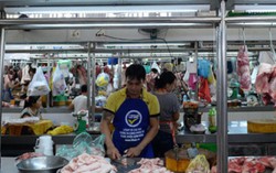 Bán thịt heo VietGAP 35.000đ/kg, nữ giám đốc nói vẫn có lãi