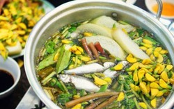 Ngon khó cưỡng lẩu cá linh bông điên điển