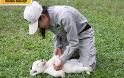 Vinpearl Safari đón nhiều thú non quý hiếm chào đời