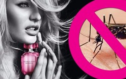 Nước hoa Victoria’s Secret có thể ‘đuổi’ muỗi
