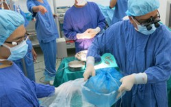 Sẽ có thêm nhiều chuyến bay từ Vietnam Airlines hỗ trợ ghép tạng