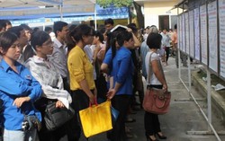 Hơn 600 việc làm hè cho học sinh sinh viên