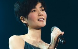 Đĩa nhạc của Vương Phi