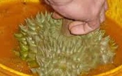 Nơm nớp khi mua trái cây vì ngại hoa quả 'ngậm' hóa chất
