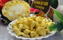 Phòng chống bạo lực gia đình từ Hội thi Mít ngon