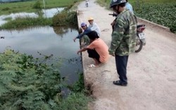 Cầu không có lan can khiến 2 mẹ con ngã xuống sông