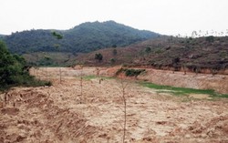  'Băm nát' 200ha rừng phòng hộ để cán bộ chia nhau 