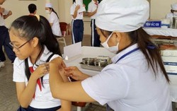 Bệnh sùi mào gà 80 trẻ mắc nguy hiểm như thế nào?