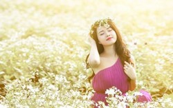 Mùa hoa cải nở trắng trời cao nguyên Mộc Châu 