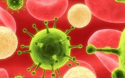 Chặn nguồn glucose để tiêu diệt HIV