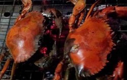 'Nghiện' hải sản nướng, dễ dính sán lá phổi