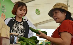 Thực phẩm sạch hội tụ tại lễ hội sức khỏe và dinh dưỡng