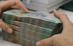 Nghị định 19: Công cụ cần thiết để kiểm soát 'tín dụng đen' hình thức hụi, họ