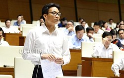 Cương quyết đưa ra khỏi ngành với giáo viên bạo hành trẻ em