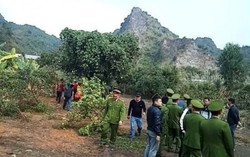 Bàng hoàng phát hiện thi thể người phụ nữ trong vườn cam tại Hà Tĩnh