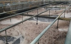 Formosa xả thải độc tố gây cá chết ở miền Trung
