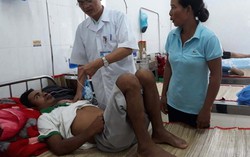 Nhiễm liên cầu lợn do ăn thịt lợn, lòng lợn chết