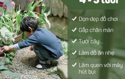 Danh sách việc nhà phù hợp với từng độ tuổi của trẻ