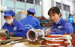 Cử nhân thất nghiệp đã giảm đáng kể