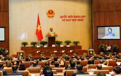 'Cá chết ở miền Trung là sự cố chưa từng có'