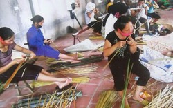 Phụ nữ Bắc Giang với phong trào kinh tế tập thể
