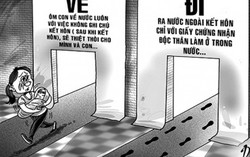 Nắm số liệu về con của cô dâu Việt tại Việt Nam