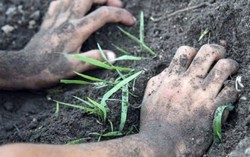 Cần điều tra đất, nguồn nước ở gia đình có 2 trẻ tử vong do nhiễm khuẩn whitmore