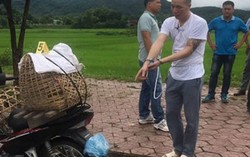 Công an Điện Biên tiến hành thực nghiệm hiện trường vụ sát hại nữ sinh giao gà 