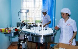 Hơn 100 năm chữa bệnh bằng phương pháp 'Lấy độc trị độc'