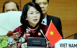 Phó Chủ tịch nước: Phát huy tiếng nói của các nước Không liên kết