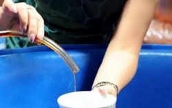Món ngon nhớ lâu