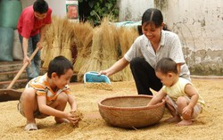 Khi thế giới cán mốc 10 tỷ người: Việt Nam có tiếp tục giảm sinh?