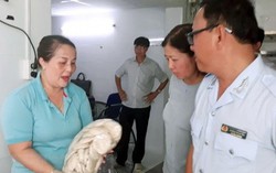 Phát hiện 2 cơ sở sản xuất giò chả vi phạm tại TPHCM